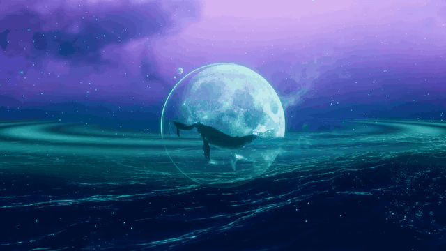 Voyage Of The Whales